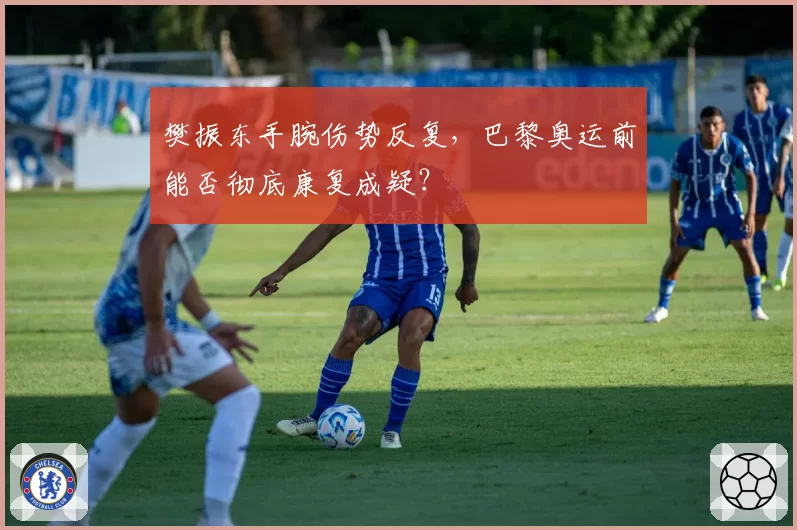 樊振东手腕伤势反复,巴黎奥运前能否彻底康复成疑?