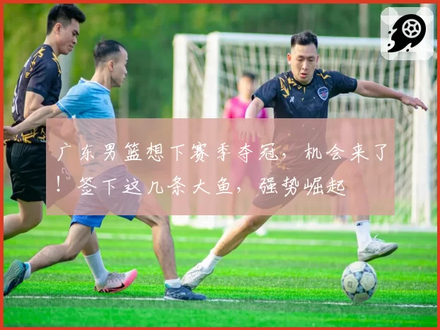 广东男篮想下赛季夺冠,机会来了!签下这几条大鱼,强势崛起